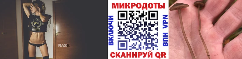 блэк спрут онион  Лакинск  Псилоцибиновые грибы Psilocybine cubensis  купить закладку 